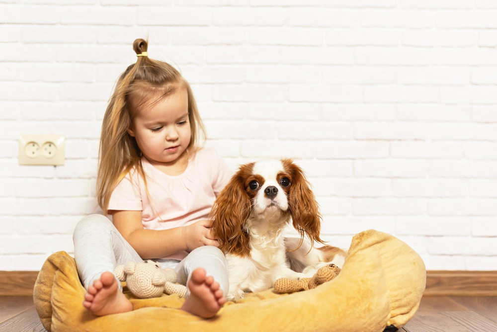 Najlepsze rasy psów dla dzieci. Jaki pies do domu z dzieckiem?